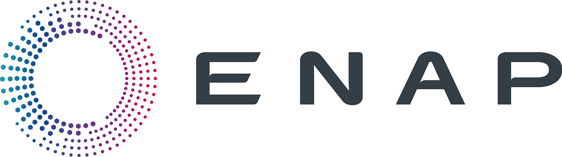 logo-enap.jpg