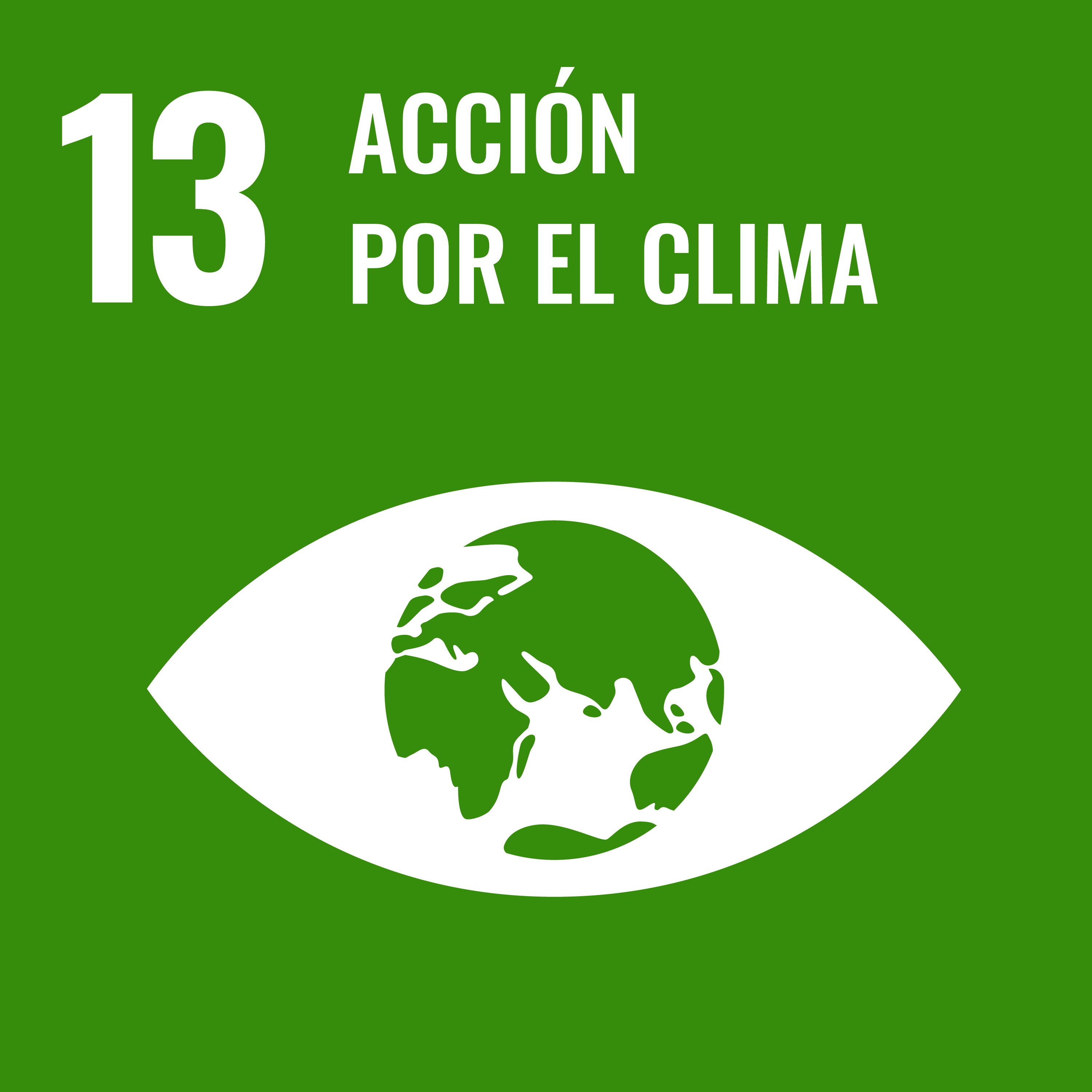SDGIconsACEFRS JUNE2019MS