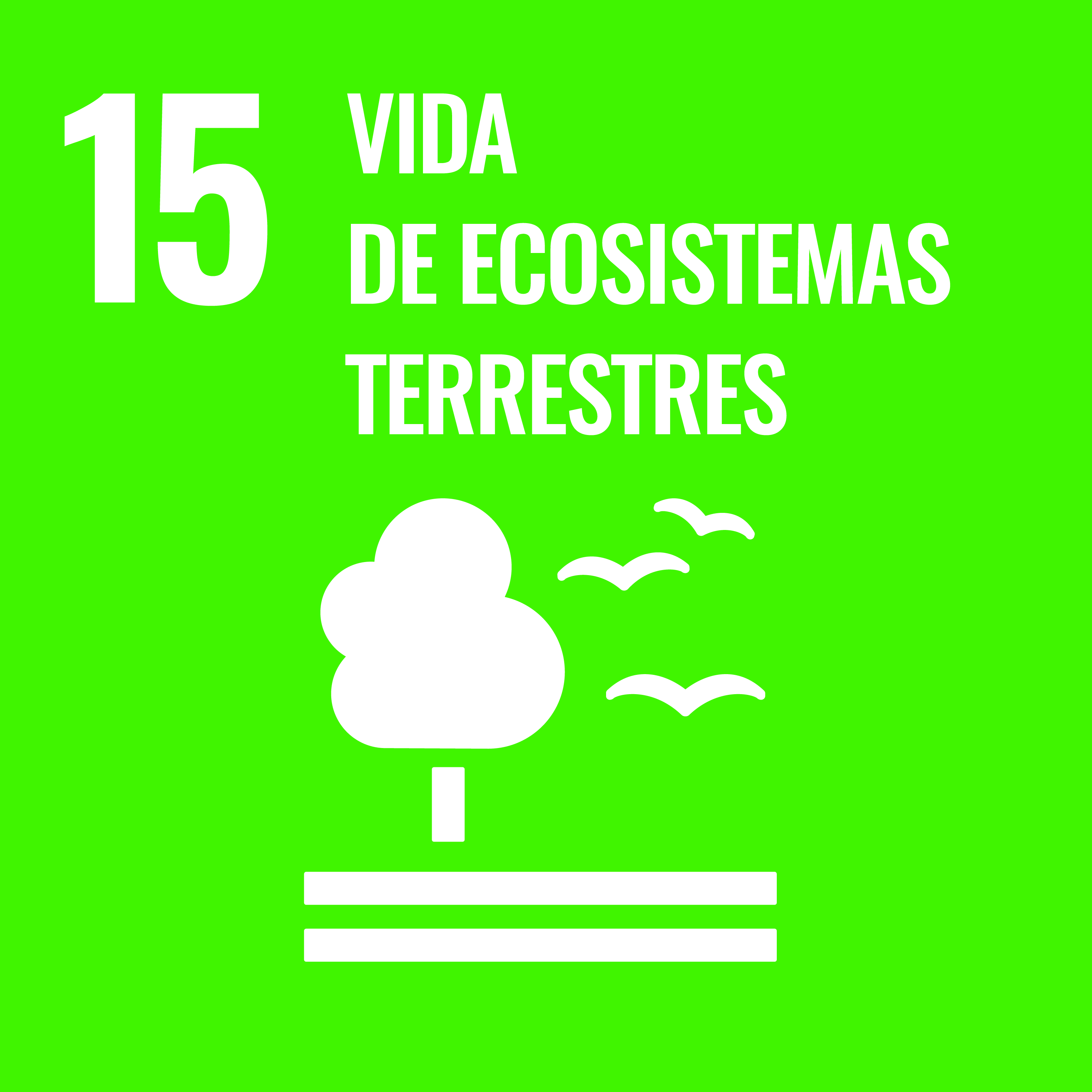SDGIconsACEFRS JUNE2019MS